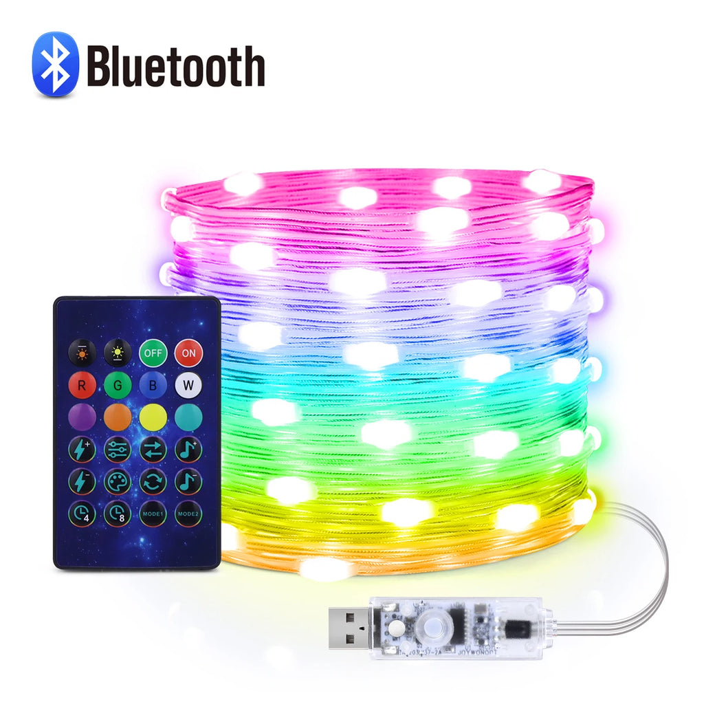 Programmable LED String Lights